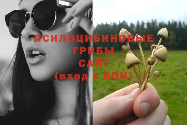твердый Бугульма