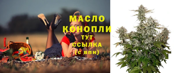 мет Бородино