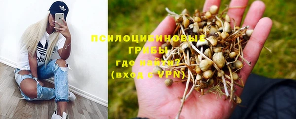 прущая мука Бронницы