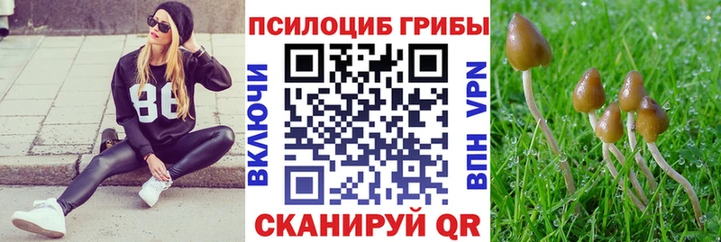 Псилоцибиновые грибы ЛСД  мега как зайти  Крым  где купить наркоту 